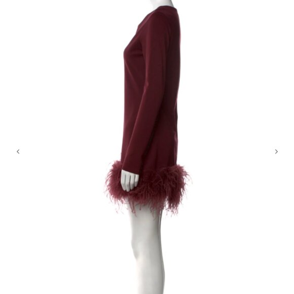 Lamarque Bahira Maroon Feather Crew Neck Mini Dress - Picture 2 of 3